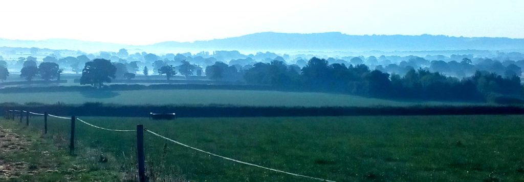 View from East Stour towards Duncliffe Woods